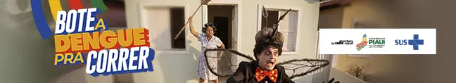 Governo do Piauí
