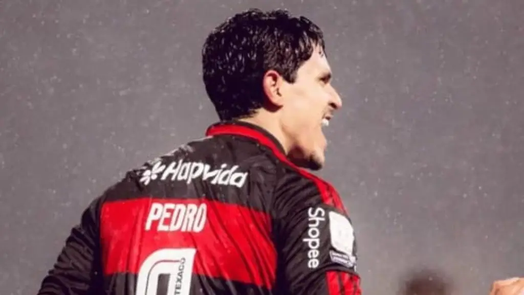 Com dois gols de Pedro, Flamengo goleia a Chapecoense no Brasileirão